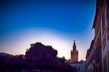 Sevilla, España. 1 de julio de 2025. Las amplias calles arboladas cerca del centro histórico de...