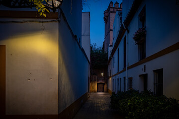 Sevilla, España. 1 de julio de 2025. Las amplias calles arboladas cerca del centro histórico de...