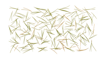A flat lay of green pine needles scattered randomly, creating a natural textured background.
