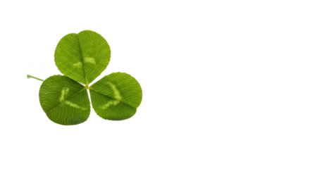A minimal composition of a single green three-leaf clover isolated on a white background.