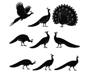 孔雀のシルエットイラストセット