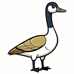 duck isolated on white