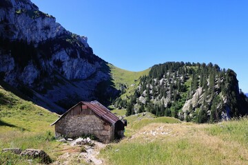 Habert de Bovinant. Grand Som. Massif de la Chartreuse. R&eacute;serve Naturelle des Hauts de Chartreuse. Alpes. Is&egrave;re 