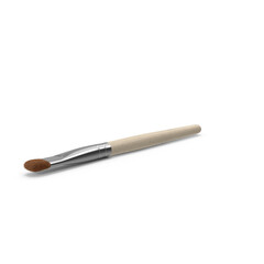 Closeup Artists Paintbrush ,3D, transparent background , PNG 