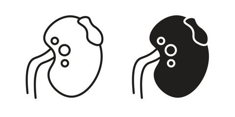 Kidney disease icon sign symbol and flat style for app, web and digital design.