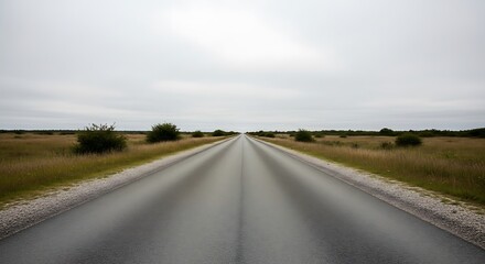 Scenic Highway Landscape with Overcast Sky Emphasizing Journey and Serenity