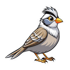 vector illustration of a cartoon bird