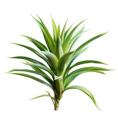 Vibrant green pineapple plant, detailed illustration