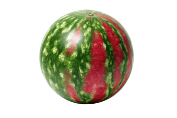 A perfect sphere watermelon, vibrant red and green stripes, glossy surface