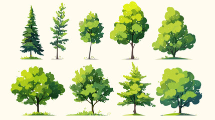 Diverse Array of Trees: A visual anthology of distinct tree species, each displaying unique characteristics, presented in a harmonious arrangement, showcasing the diverse beauty and natural elegance.