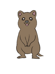 ゆるクアッカワラビー1