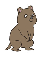 ゆるクアッカワラビー2