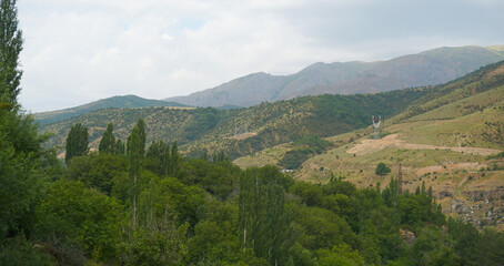Fototapeta premium High mountains are visible behind the trees.