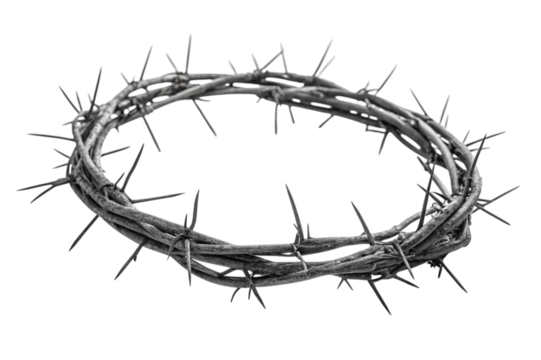 Crown of thorns isolated on transparent background