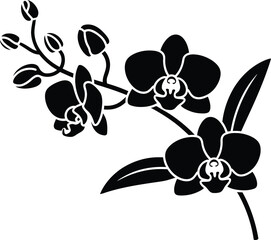 Elegant black silhouette of a blooming orchid flower branch © NASRIN