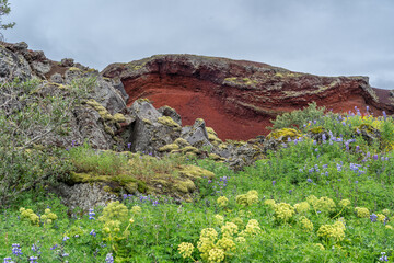 Naturpark Raudholar in der Nähe der isländischen Hauptstadt Reykjavik, rotes Felswand im...