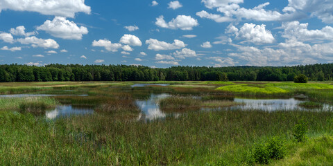 Roztocze, wschodnia Polska, stawy Echo