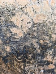yellowish abstract grunge wall photo as background