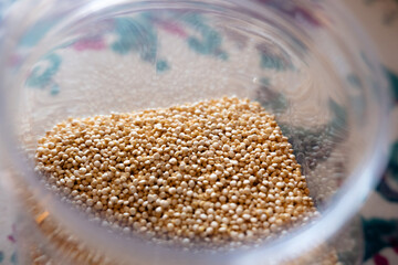Close-up of raw quinoa in a glass jar. Superfood. Storage concept