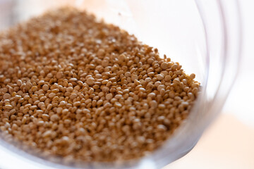Close-up of raw quinoa in a glass jar. Superfood. Storage concept