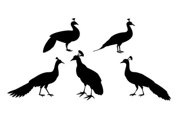 Fototapeta premium set of silhouettes of peacock 