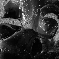 Monochrome seaweed texture with bubbles and salt, Portugal,