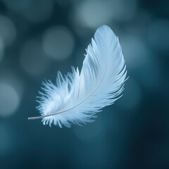 Soft White Feather Floating Gracefully Against a Blue Background