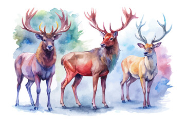 set of watercolor elk vector illustration isolated on white background