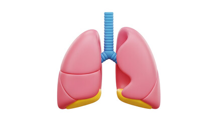 "Human Lungs Illustration in Pink - Respiratory System, Anatomy, Lung Health, Medical Education"