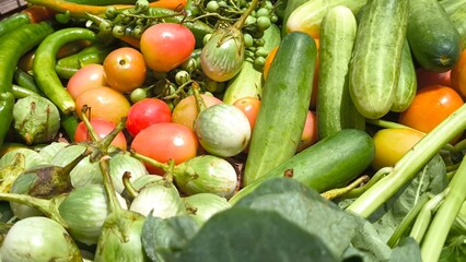 Fresh vegetables for cooking. Vegetables contain dietary fiber that helps cleanse the intestines.