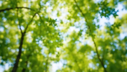 Fototapeta premium Green Canopy of Tree Branches Creates a Serene and Tranquil Scene, Ideal for Nature and Environmental Related Projects