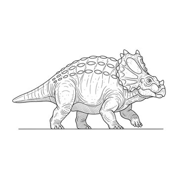 Centrosaurus Dinosaur Line Art Illustration