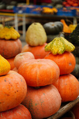 Orange and yellow pumpkins at the farmer's market. Harvest time in autumn.