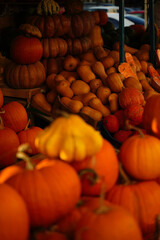 Orange and yellow pumpkins at the farmer's market. Harvest time in autumn.