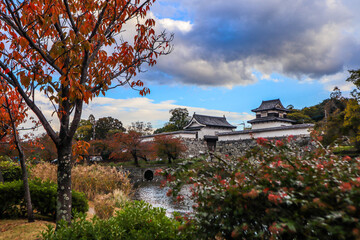 Traditional Japanese Castle with Autumn Scenery and Moat Reflection