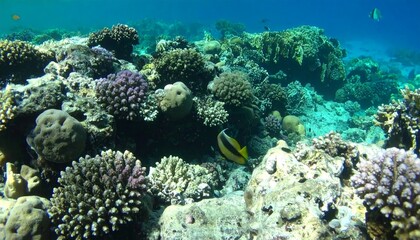 An underwater paradise filled with coral clusters and exotic fish, showcasing the delicate balance of life in the ocean.