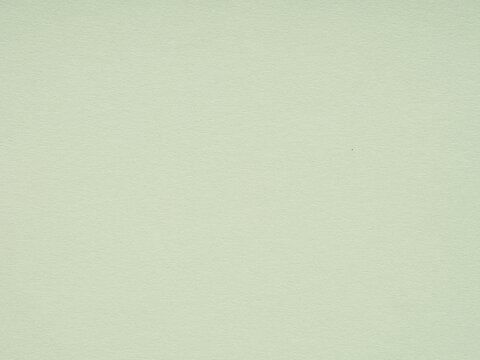 A subtle dance of light and texture on a muted sage green paper surface