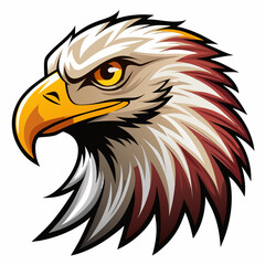 Obraz premium american bald eagle vector illustration