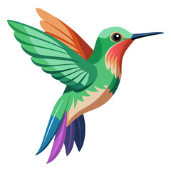 hummingbird in flight