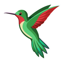 hummingbird and flowers