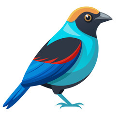 vector illustration of a bird
