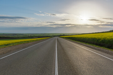  road in a field of yellow flowers.
