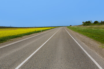  road in a field of yellow flowers.