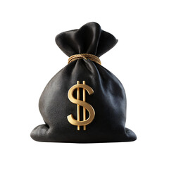 Secure your wealth with this stunning bag of money concept