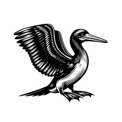 Black and White Illustration of a Cormorant Bird.