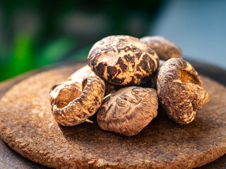 Group of fresh shiitake mushrooms arranged on a rustic cork tray with natural outdoor lighting. Perfect for culinary, organic food, and farm-to-table concepts.