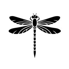 Fototapeta premium dragonfly on white background