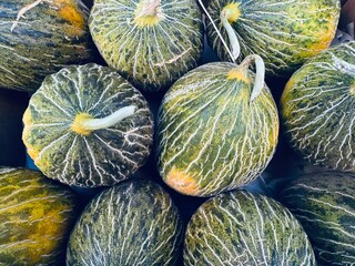 striped melons