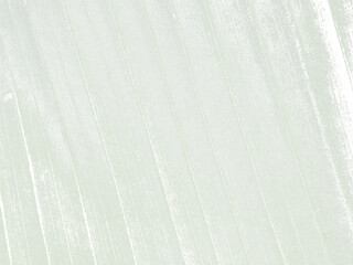 Abstract light background with the texture of a palm leaf. Transparent background, overlay, PNG.
