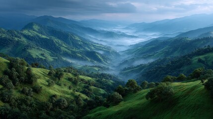 Fototapeta premium Mist-Kissed Peaks: Panoramic vista showcasing rolling hills blanketed in a soft, ethereal fog, evoking a sense of tranquility and the majesty of nature.